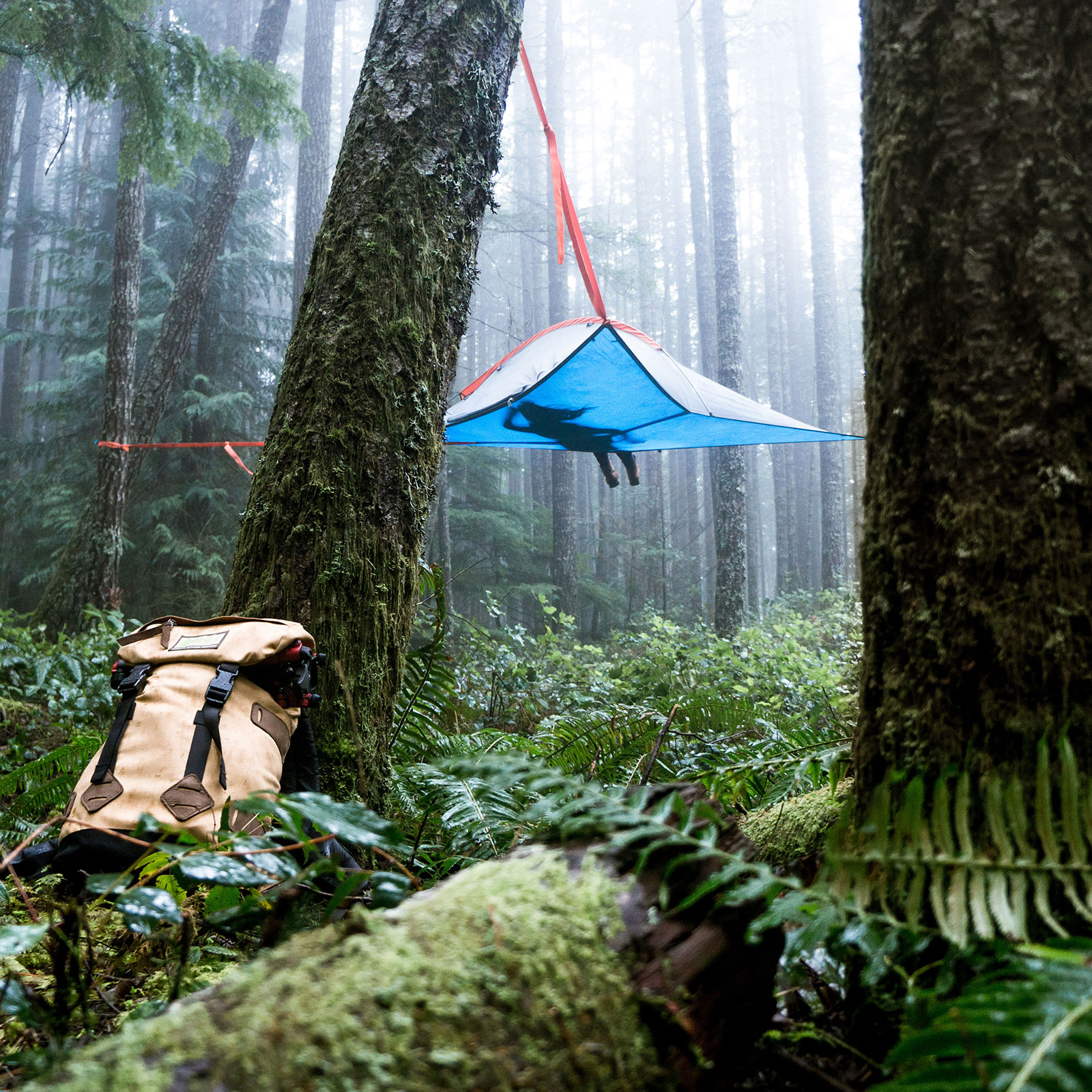 TENTSILE Baumzelt Flite+ 12 Personen Zelt Trekkingzelt Biwak